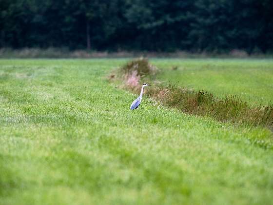 Při sekání trávy nezapomínejte na příkopy, vyžadují pravidelnou údržbu