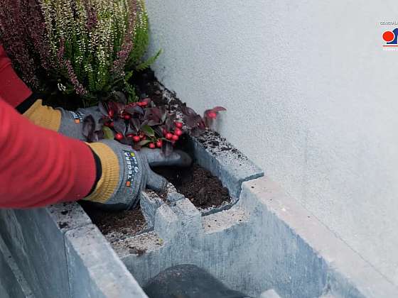 Postavte si betonovou zídku s květinami na sezení