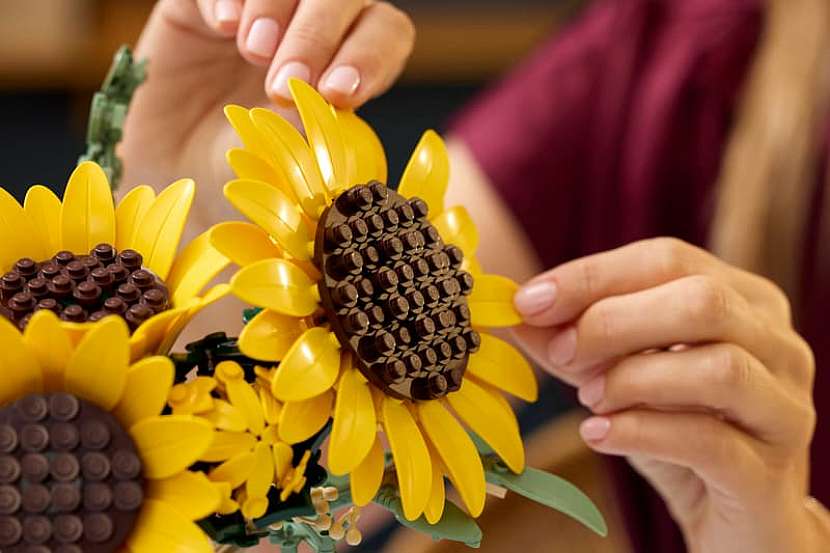 Nechte svou kreativitu rozkvést se stavebnicí LEGO Botanicals 