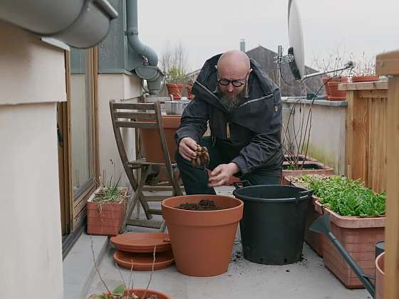 Sázení rostlin na balkon