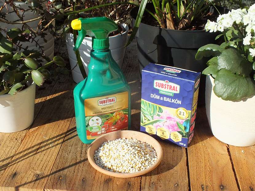 Balíček produktů SUBSTRAL, obsahující hnojivo pro zahradu, také hnojivou pro pokojové a balkonové rostliny a postřik proti škodlivému savému a žravému hmyzu