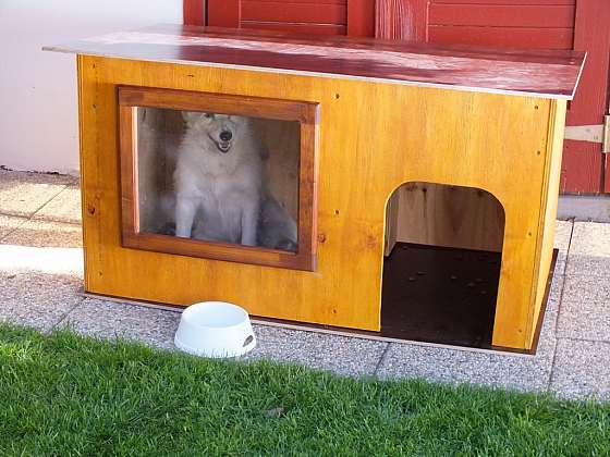 otevřít: Vyrobte svému psovi letní boudu s oknem