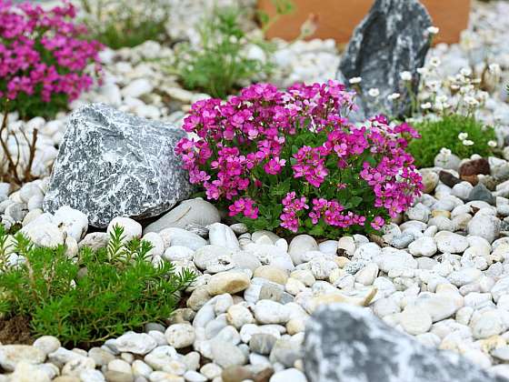 Skutečný ráj pro milovníky zahradních skalek…