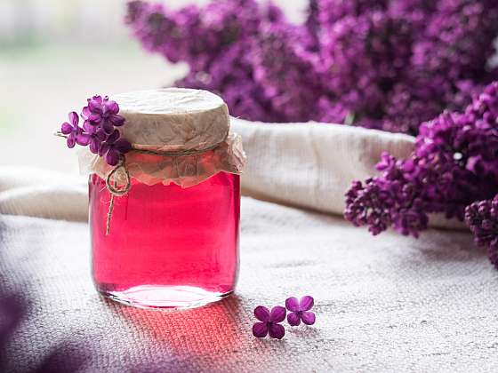 Připravte si šeříkový sirup na luxusní letní limonádu