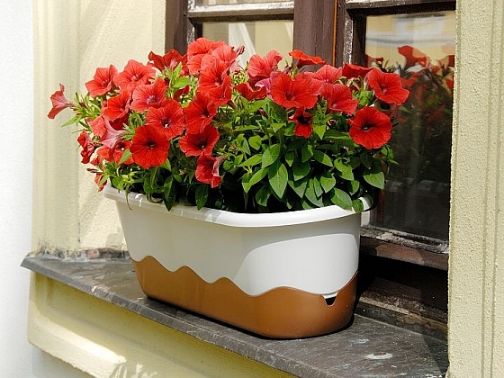 otevřít: Vykouzlete na svém balkóně zelenou oázu. Pomohou vám samozavlažovací truhlíky a květináče.
