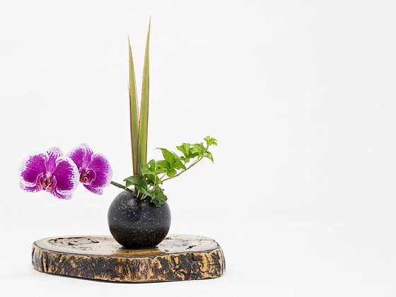 Ikebana aneb Interiérové aranžmá v japonském stylu 