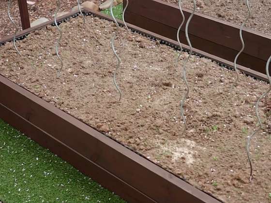 Vitalita vyvýšených záhonů