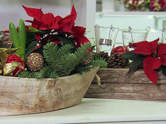 Originální květinové dekorace na vánoční stůl