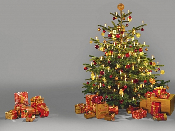 otevřít: Pořiďte si vlastní vánoční stromek!