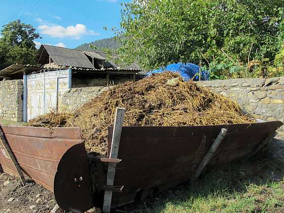 Troufli byste si použít sloní hnojivo nebo dáte přednost klasice? Které přírodní hnojivo zvolíte?