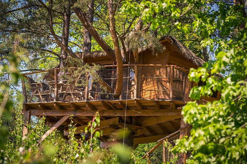 Treehouse Stvořidla 