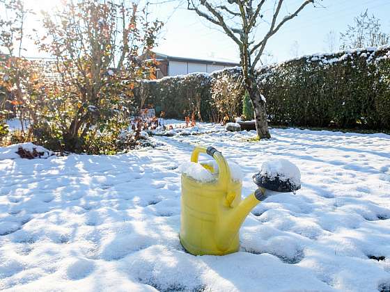 Lednové zahradničení je nejen o přípravě na novou sezónu