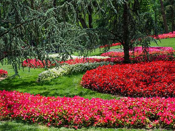Zahrada v červené barvě upoutá pozornost kolemjdoucích
