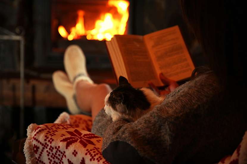 Dům obětí skrývá temná tajemství, další panenka se brzy objeví – a vrah je nebezpečně blízko...