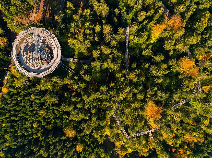 Na první pohled se může zdát, že Stezka korunami stromů Krkonoše je pouhou turistickou atrakcí