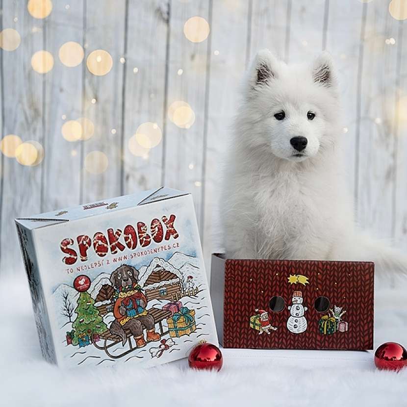 Vyhrajte 3x vánoční Spokobox – krabici plnou překvapení pro vašeho psího parťáka (Zdroj: SLASH Public Relations)