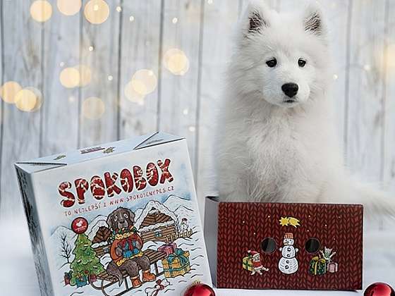Vyhrajte 3x vánoční Spokobox – krabici plnou překvapení pro vašeho psího parťáka