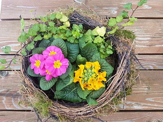 Vyrobte si krásné jarní dekorace z přírodnin