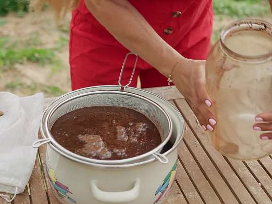 Použití lógru z kávy v zahradě