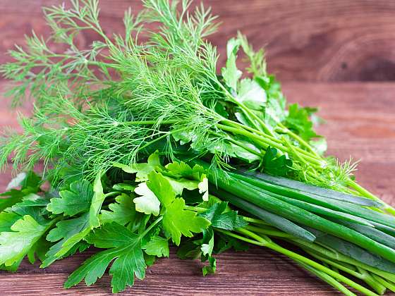 Vypěstujte si bylinky do salátů, které na vašem stole nesmí chybět