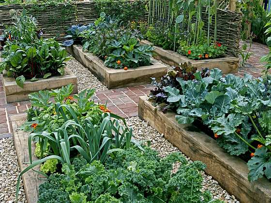 Nápady pro zeleninovou zahradu