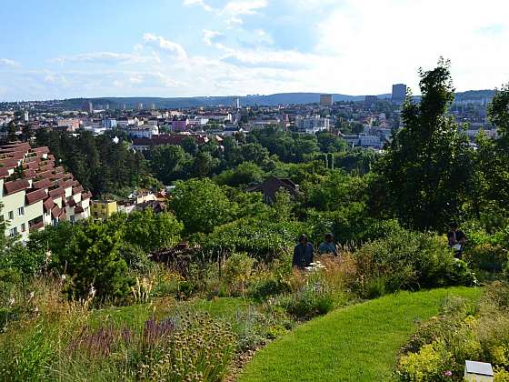 Prohlédněte si jednu z nekrásnějších zahrad Česka