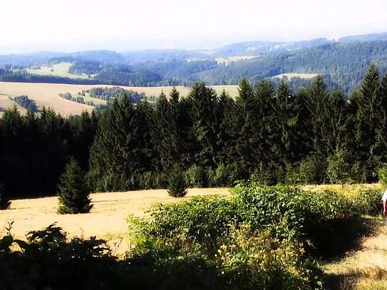 Projděte se s námi krásným českým lesem