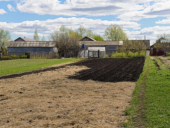 Jarní úklid zahrady není jen o odklizení chvojí z trvalek