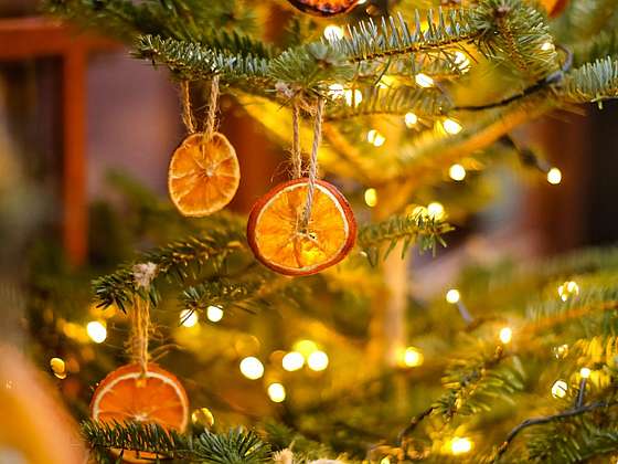 Jak využít citrusy k vánoční výzdobě domova