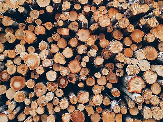 Nevíte, co byste měli ještě stihnout během podzimu? Přece udělat pořádné zásoby dřeva!