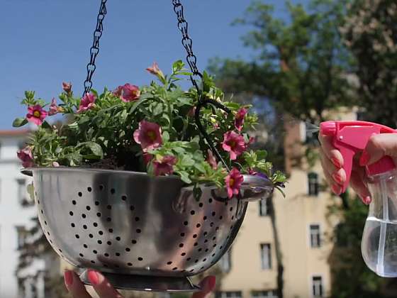 Tip na rozkvetlý balkon: Upcyklujte starý cedník