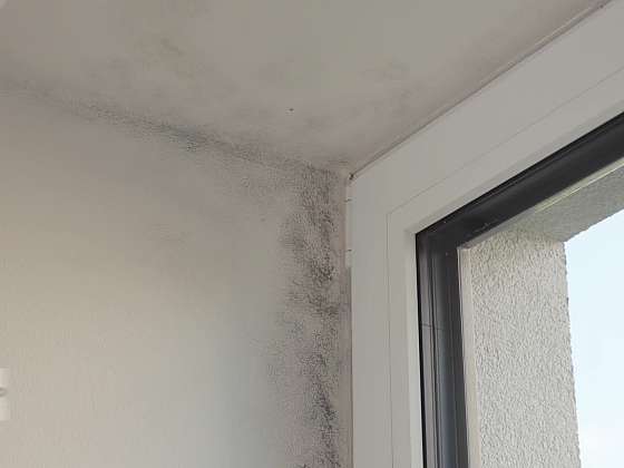 Plíseň ostění oken