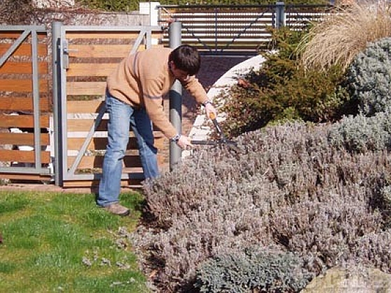 otevřít: Jarní úklid na zahradě
