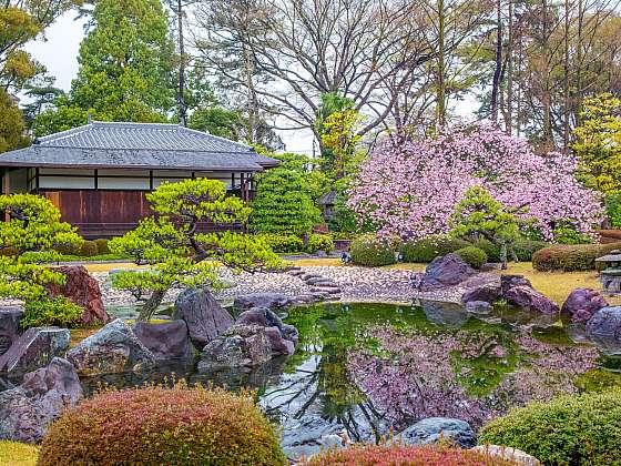 Jak založit zahradu v japonském stylu