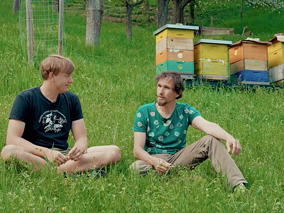 Včely a my: Jak správně žít po boku včel a jejich chovatelů