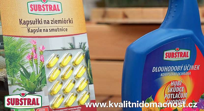 Kapsle na smutnice 12 ks a Substral postřik Komplexní ochrana 