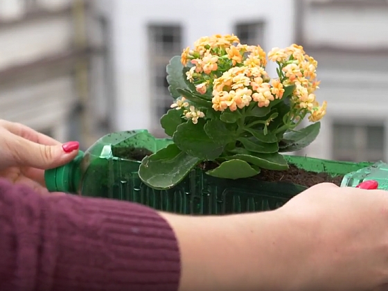 Šikovný truhlík z PET lahve: Recyklace nás baví