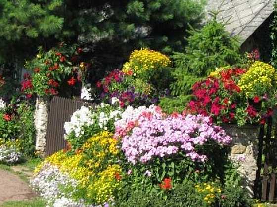otevřít: Těšíte se na jaro? Přijďte se podívat na novinky v péči o zahradu!