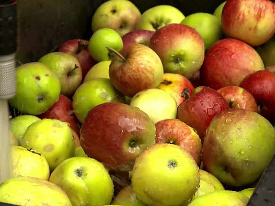 Omývání jablek