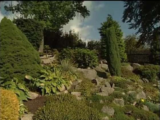 Neobyčejná zahrada plná různých rostlin