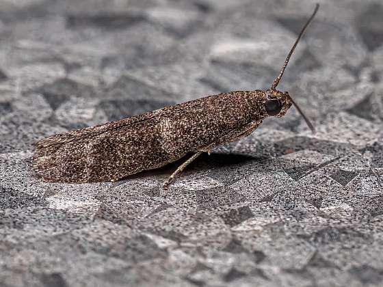 5 chyb, kvůli kterým se molů nikdy nezbavíte