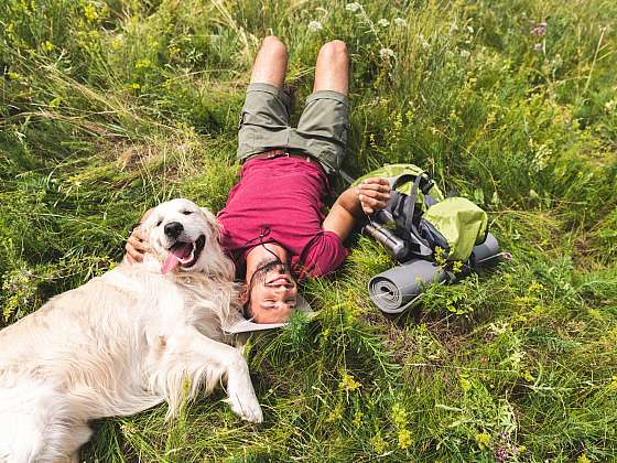 otevřít: Poradíme, jak si užít se psem léto bez problémů