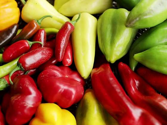 Víte jak různě můžete upravit, zpracovat a skladovat papriky? 