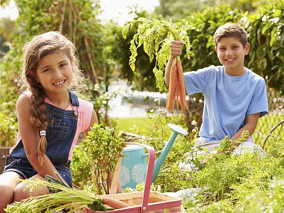 otevřít: Děti zahradničí a pěstují rády, je nutné je k tomu ale vést