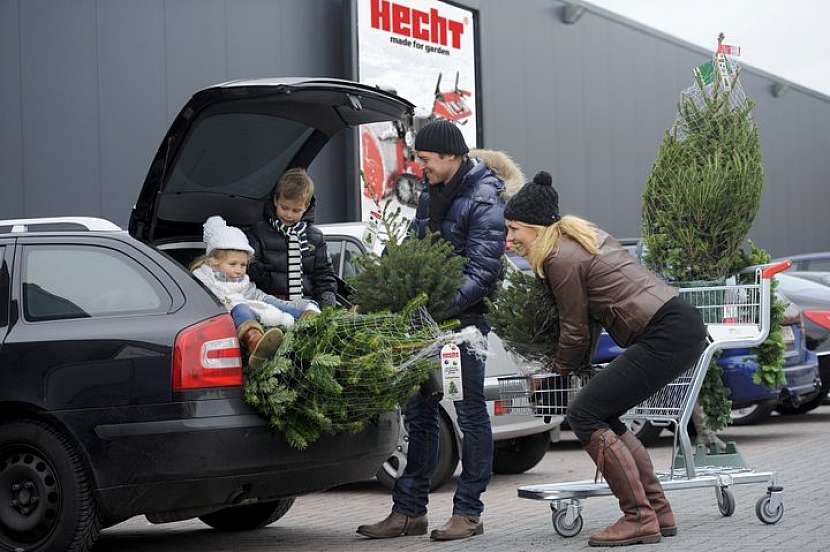 Vánoční stromky si můžete  zakoupit v prodejnách HECHT