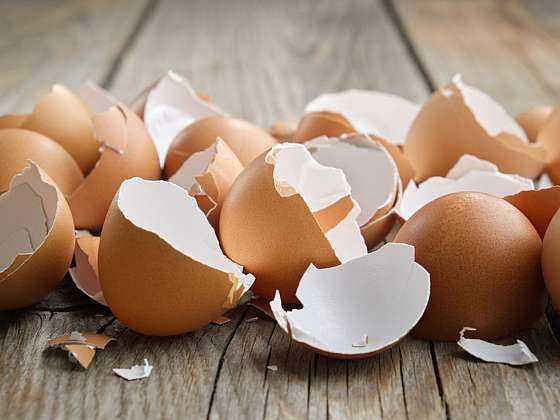 Vaječné skořápky jsou pro domácnost poklad. Proč?