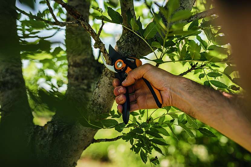 Vyberte si dvoučepelové nůžky pro čisté střihy živých větví nebo stonků nebo jednočepelové nůžky pro stříhání suchých částí rostlin (Zdroj: Fiskars)