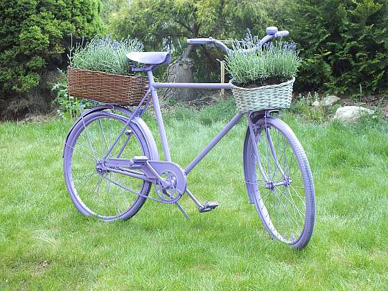otevřít: Zaparkujte své staré kolo na zahradě a ozdobte ho květinami