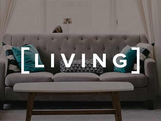 Pohovky a sofa: nové designové trendy