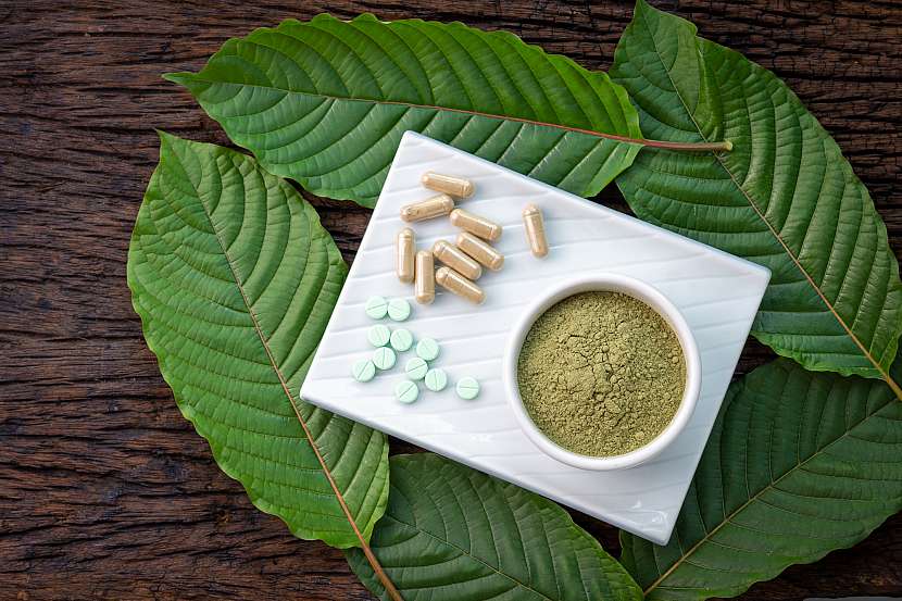 Momentálně se ve veřejném prostoru řeší především kratom a tzv. CBD produkty